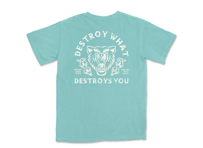 Destroy what destroys you Vintage Tee